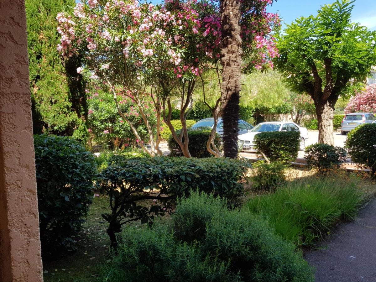 Studio Confortable Au Calme Proche Du Port Et De La Plage Grande Terrasse Et Parking Residence Le Grand Large 滨海圣芒德里耶 外观 照片